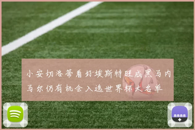 小安切洛蒂看好埃斯特旺成黑马内马尔仍有机会入选世界杯大名单